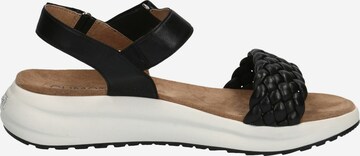 CAPRICE Strap Sandals in Black