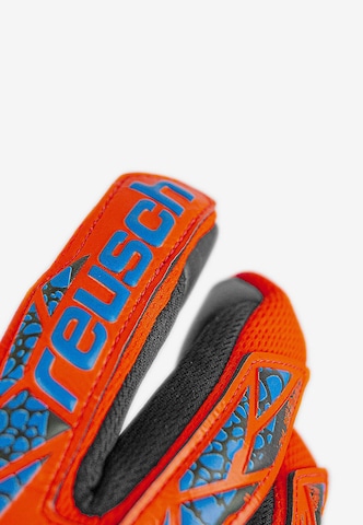 REUSCH Sporthandschoenen 'Attrakt Duo' in Blauw