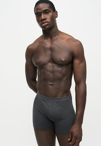 ABOUT YOU Boxer shorts 'Falk' in Grey: front