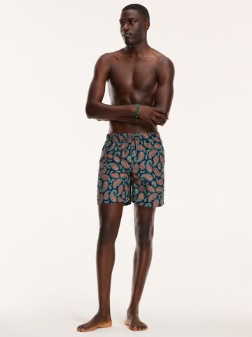 Pantaloncini da bagno di Shiwi in blu