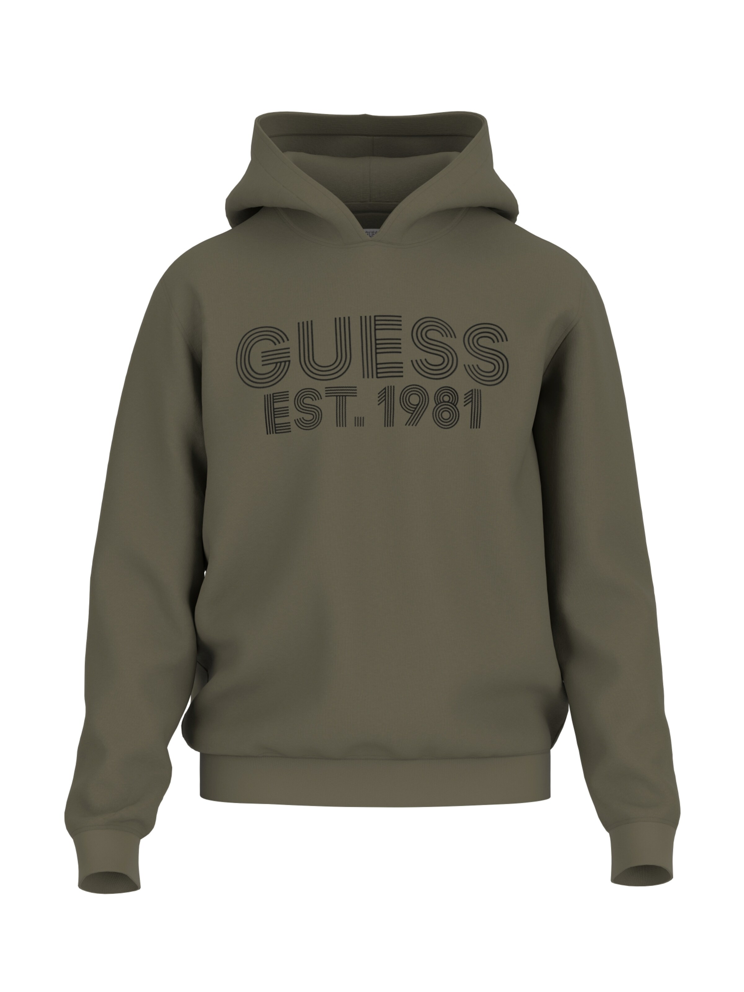 Sweat-shirt 'BEAU' GUESS en vert : devant