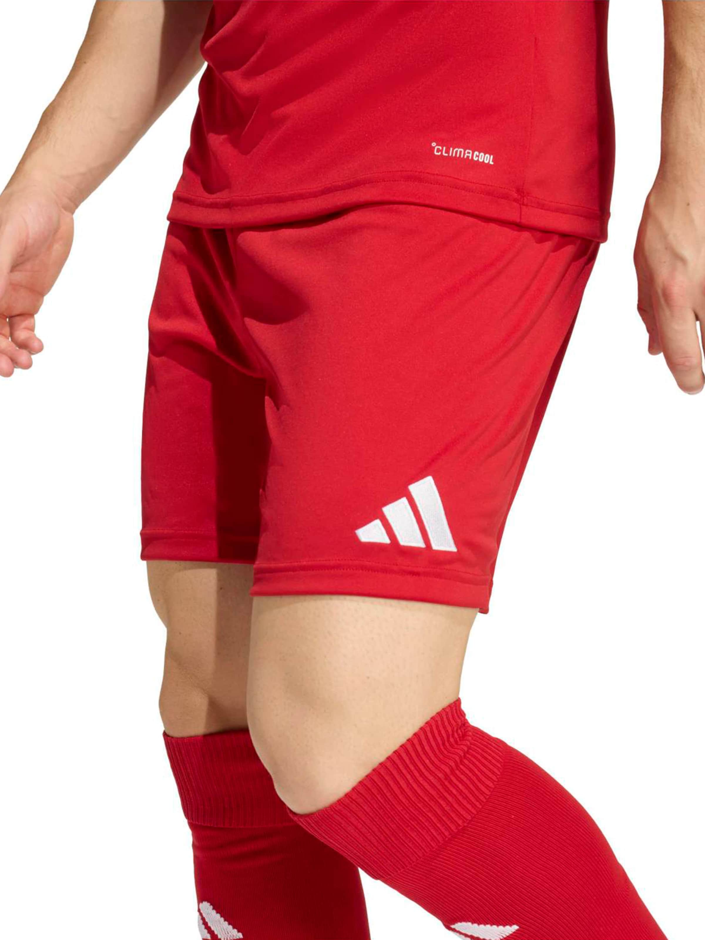 ADIDAS PERFORMANCE - regular Pantalón deportivo 'ENT26' en rojo