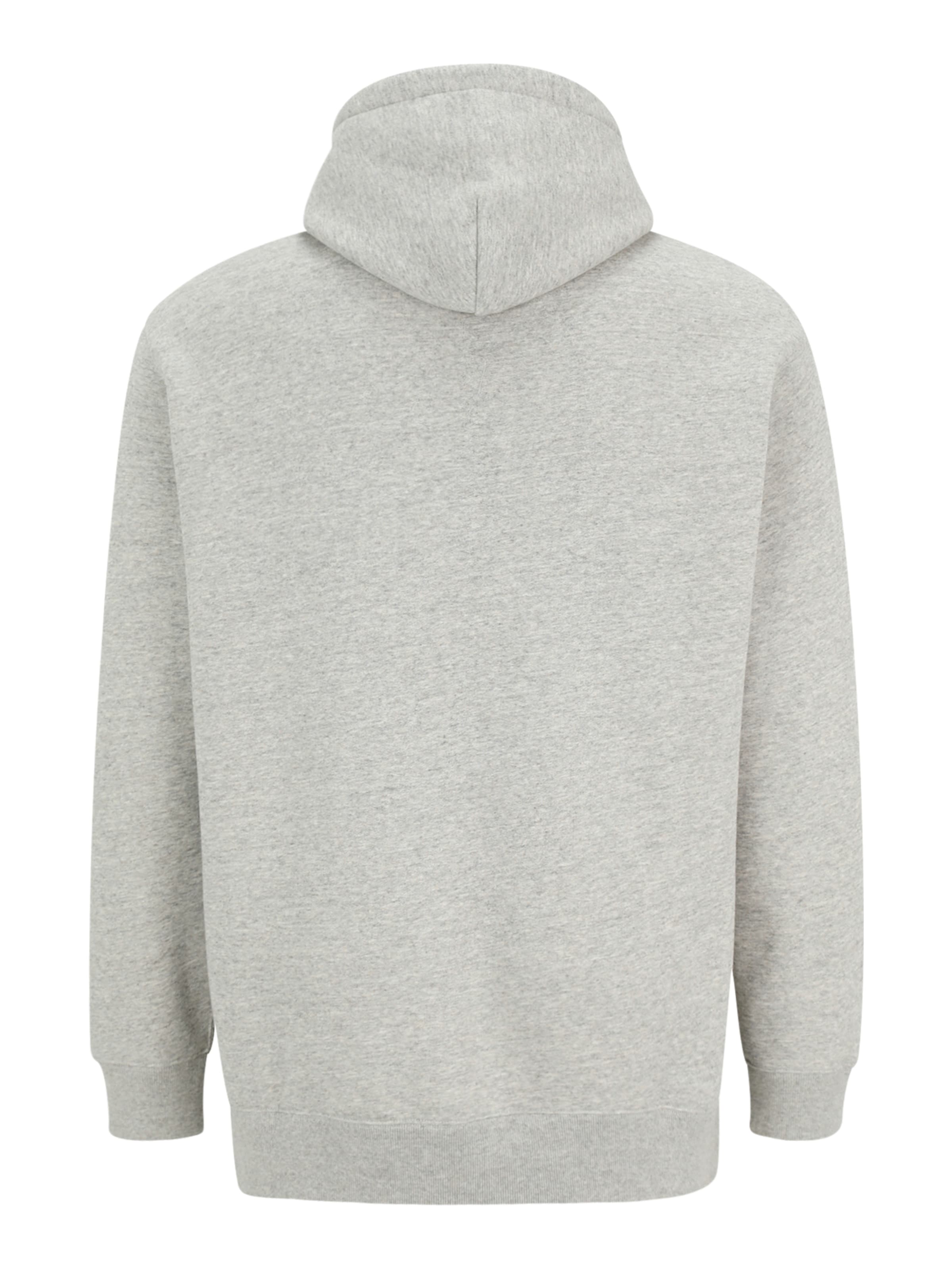 Polo Ralph Lauren Big & Tall Majica | siva barva