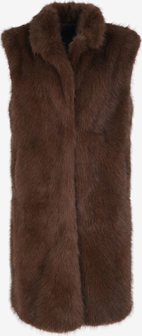 BLONDE No. 8 Bodywarmer 'Joe' in Bruin: voorkant