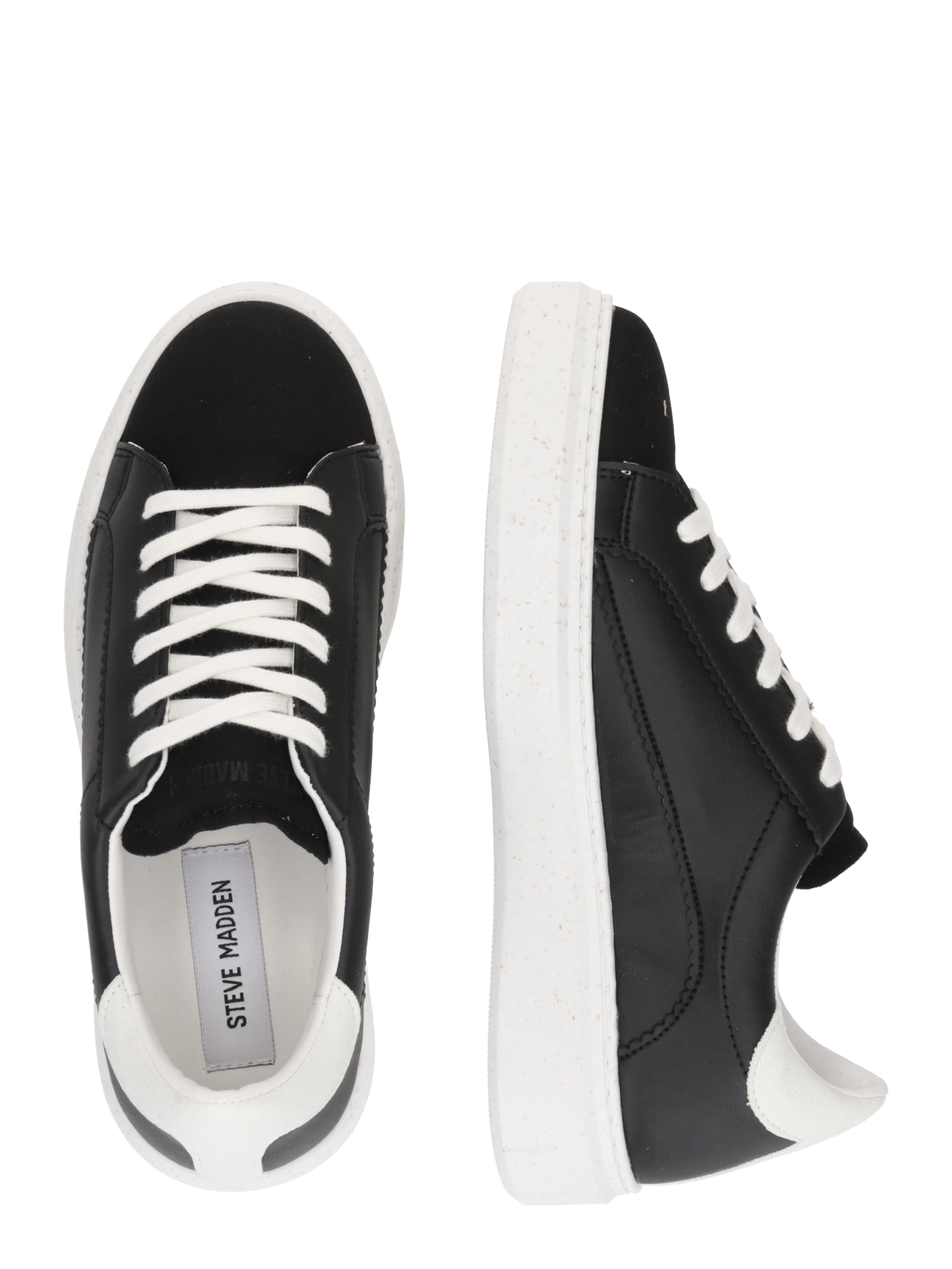 STEVE MADDEN Sneakers 'Vasile' in Black: side