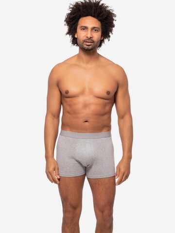 Almonu Boxer shorts 'Cotton' in Grey