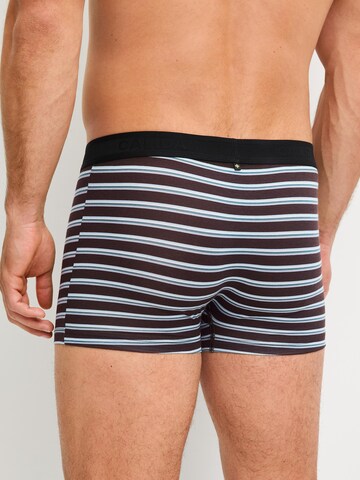 Boxers 'Focus Trend' CALIDA en marron