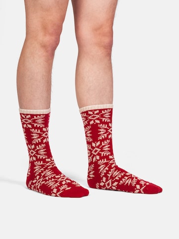 Chaussettes 'Cozy Andersens' DillySocks en mélange de couleurs : devant
