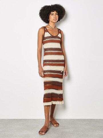 Apricot Crochet Stripe Midaxi Dress ' ' in Braun: Vorderseite