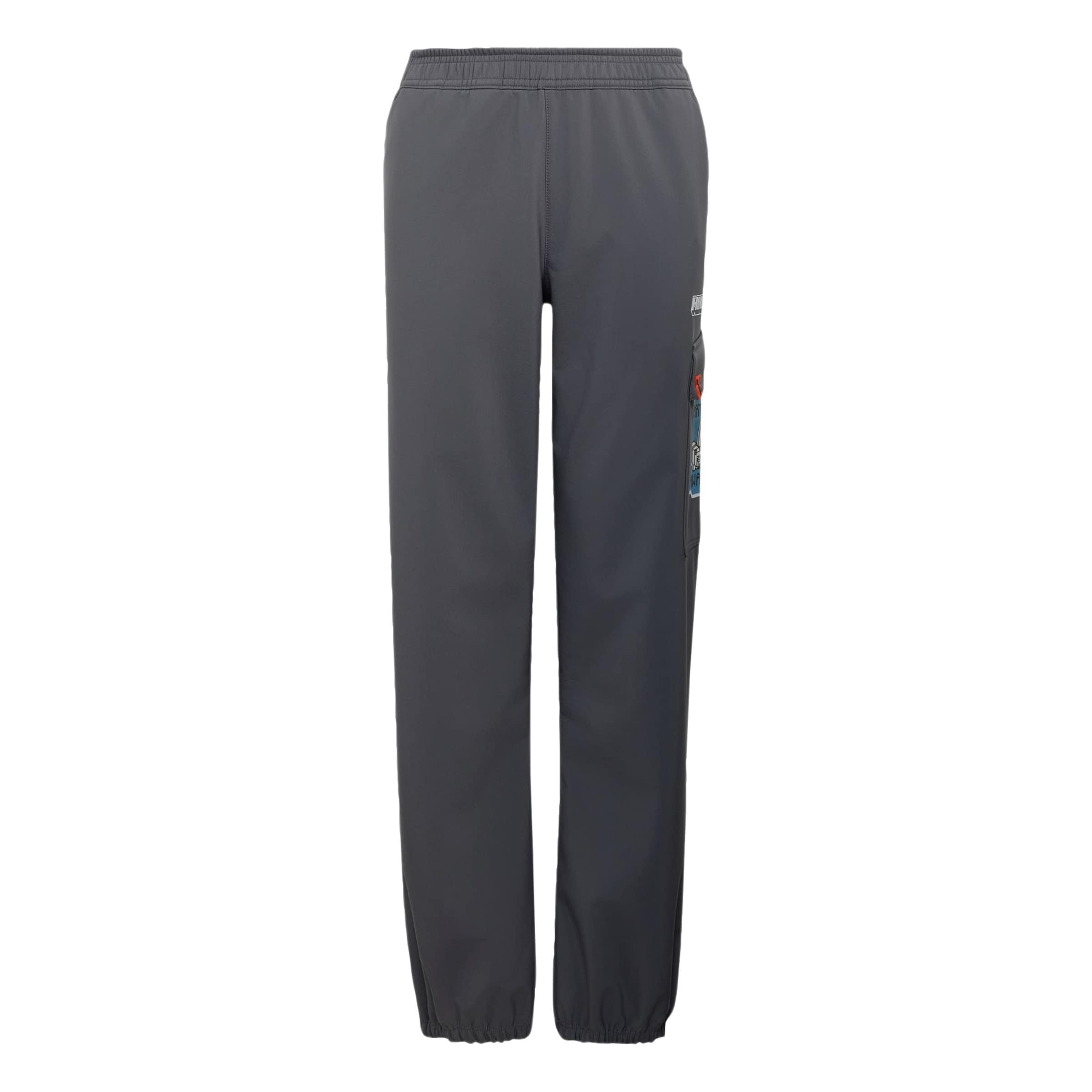 ADIDAS TERREX - Tapered Pantalón de montaña 'Minecraft' en gris: frente