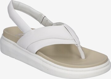 GERRY WEBER T-Bar Sandals 'Aversa 03' in White