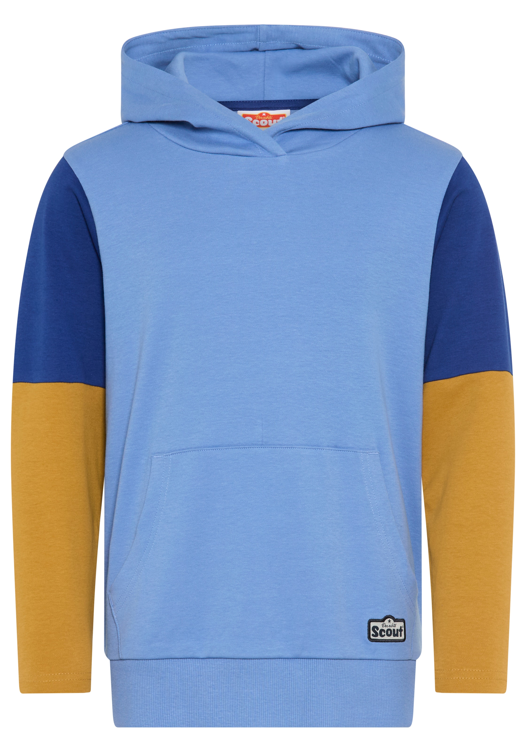 SCOUT Sweatshirt in Blue: front
