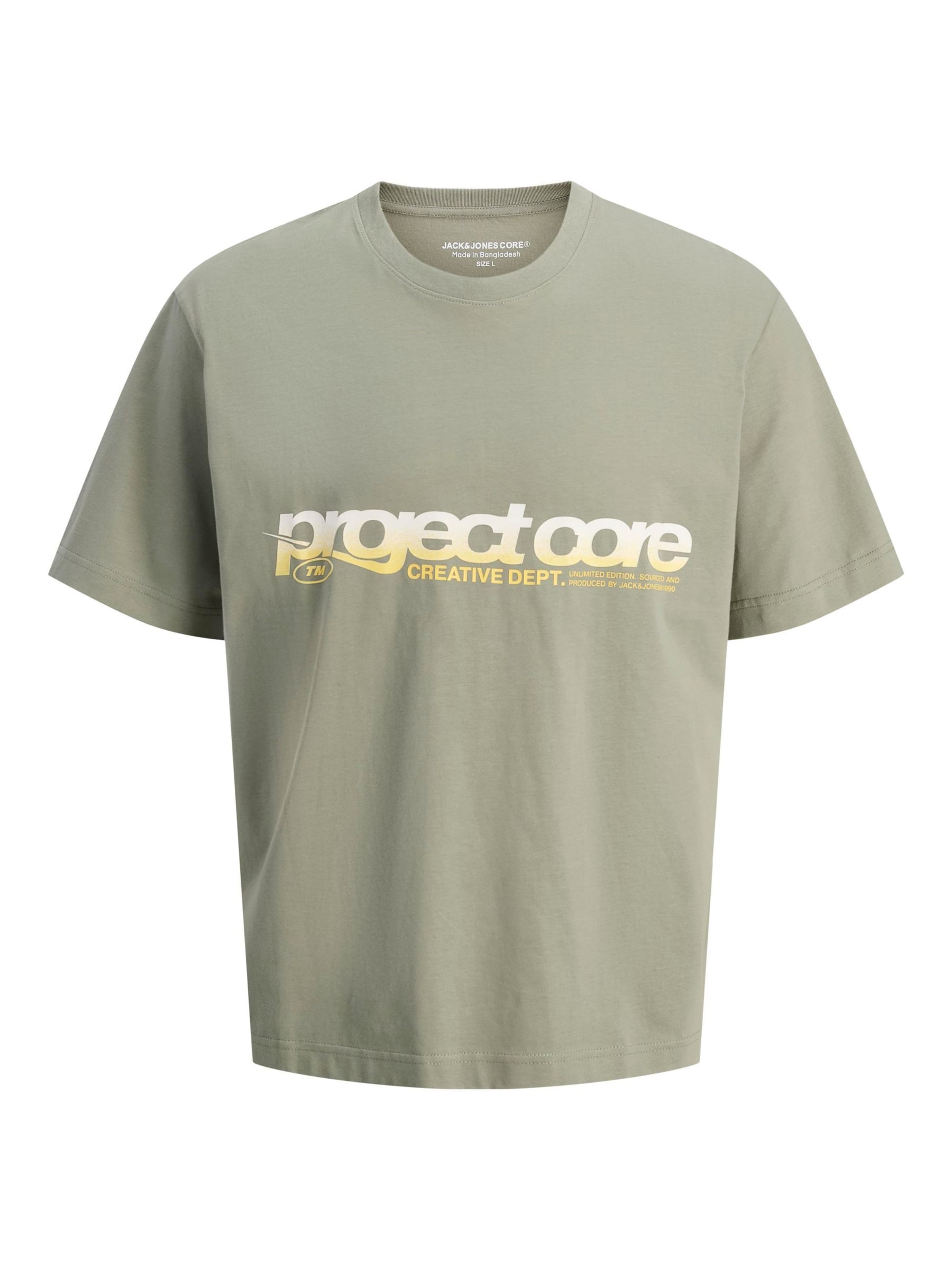 Jack & Jones Plus - Camiseta en gris: frente