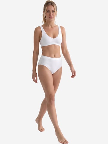 SPEIDEL Slip 'Everyday'‌‌‌‌ in Mischfarben