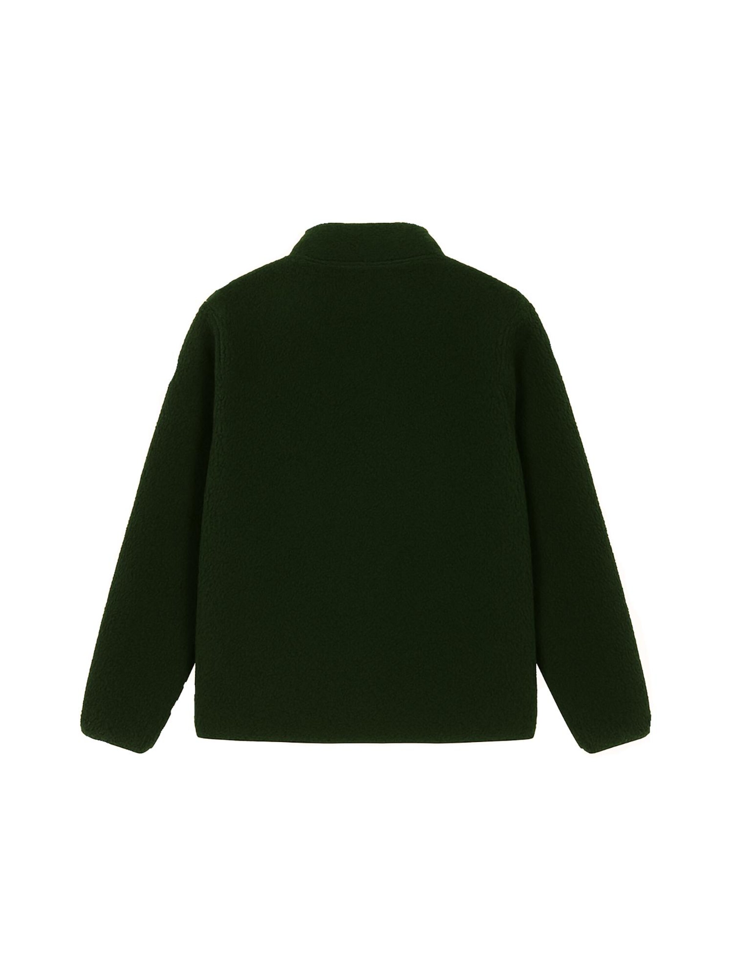 FAGUO Winter Jacket 'Senonche' in Green