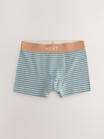 Next Badehose in Mischfarben