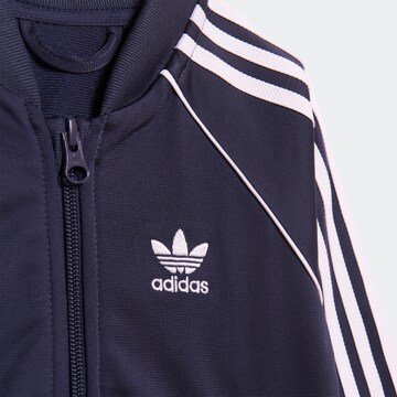 ADIDAS ORIGINALS Štandardný strih Joggingová súprava 'Adicolor' - Modrá