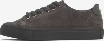 Castañer Sneakersy niskie w kolorze szary: przód