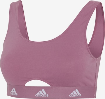 ADIDAS SPORTSWEAR Sports bra 'SCOOP BRALETTE' in Pink: front
