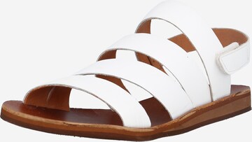 FELMINI Sandały 'Carolina' w kolorze biały: przód