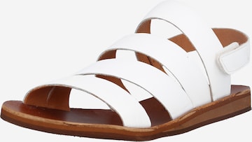 FELMINI Sandals 'Carolina' in White: front