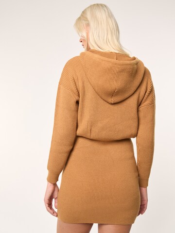 ABOUT YOU x Laura Giurcanu Knitted dress 'Paulina' in Brown