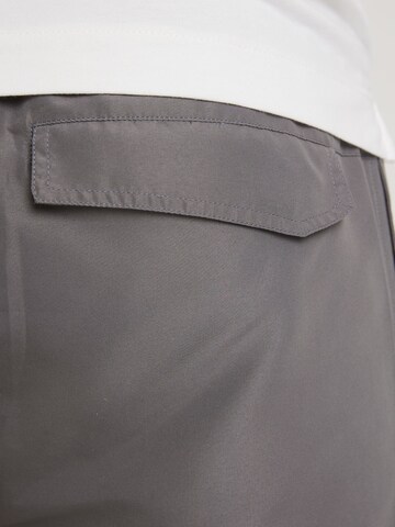 CHASIN' Swimming shorts 'Soll Solid' in Grey