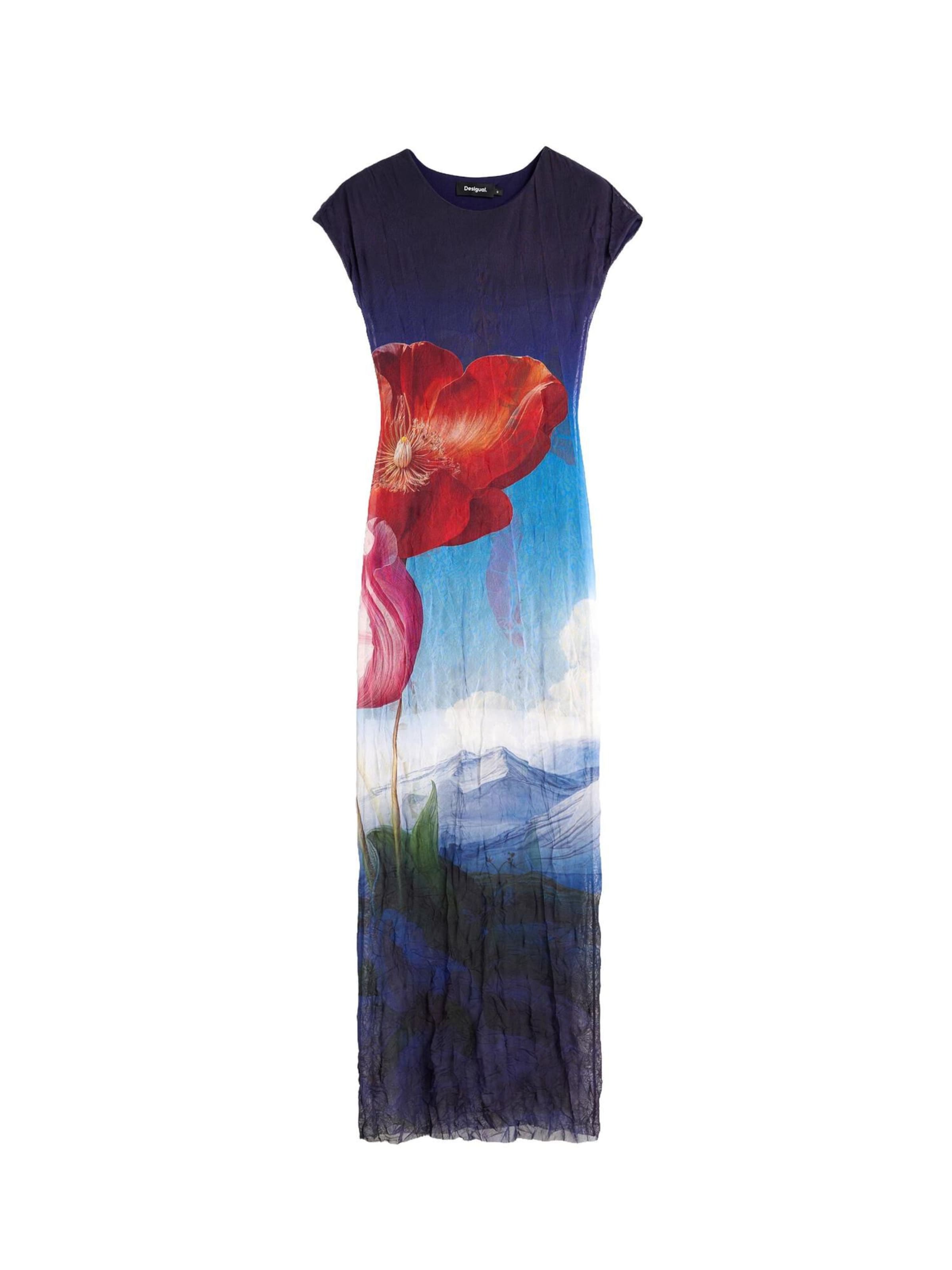 Desigual Mekko värissä sininen: etupuoli