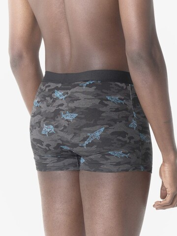 Boxeri de la KOROSHI pe gri