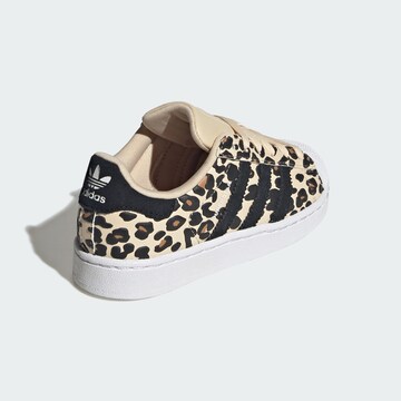ADIDAS ORIGINALS Superge 'Superstar II' | bež barva