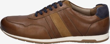 JOSEF SEIBEL Athletic Lace-Up Shoes 'Colby 02' in Brown: front