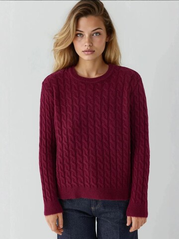 Pullover di Hiccup in rosso: frontale