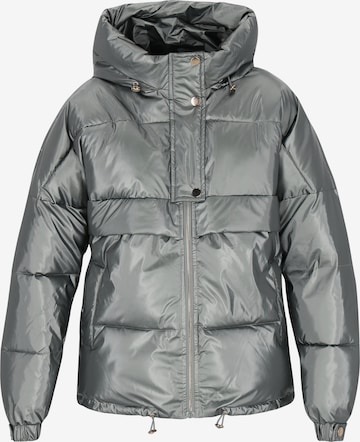 faina - Chaqueta de invierno en gris: frente