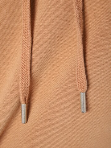 DRYKORN Sweatshirt ' Bradley ' in Braun