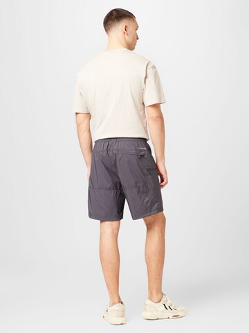 COLUMBIA - regular Pantalón de montaña en gris