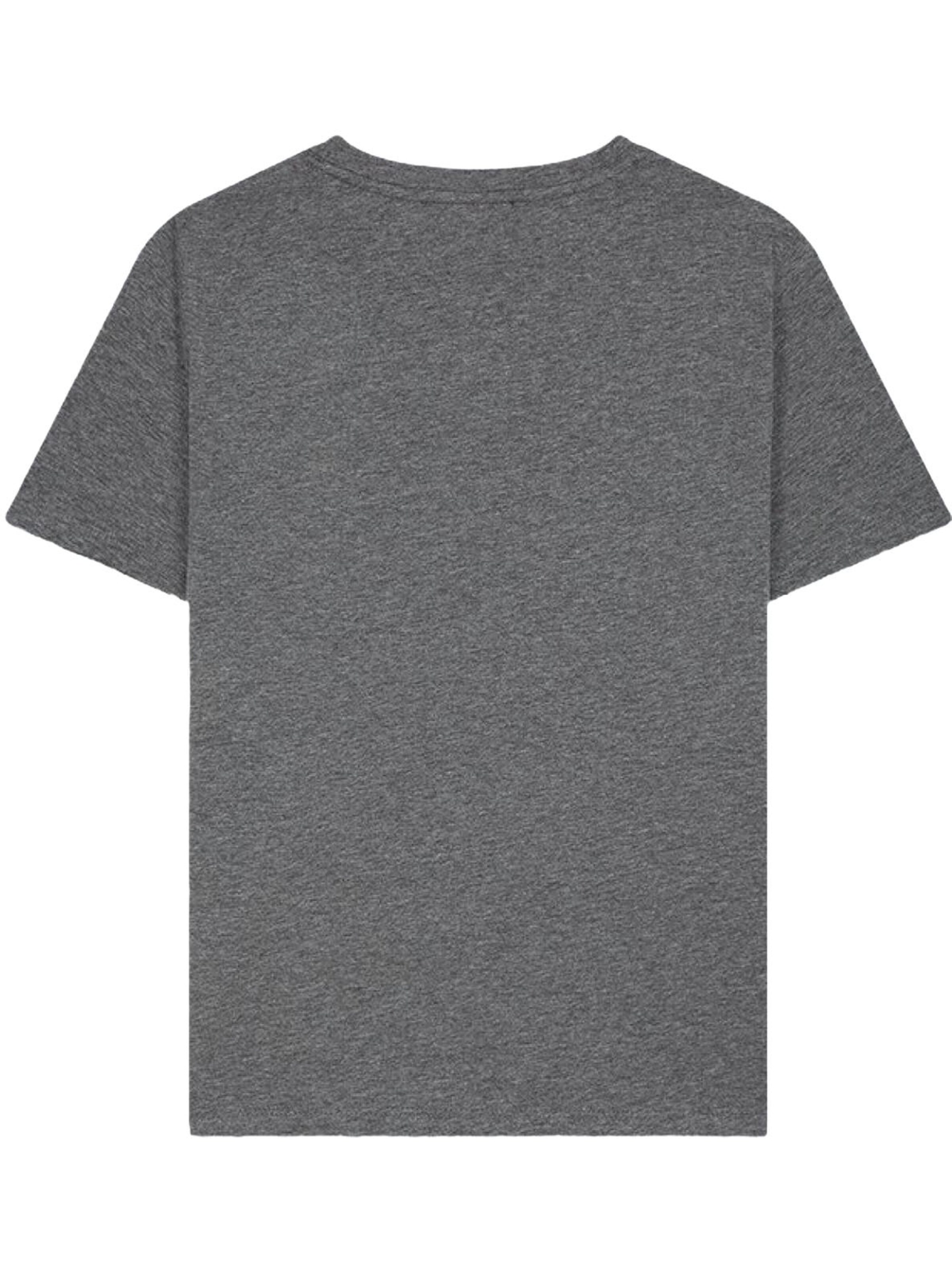 LTB Jeans Shirt 'LTB Jeans Damen Basic T-Shirt'‌‌‌‌‌‌ in Grau