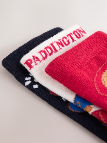 Chaussettes 'Rich License' Next en mélange de couleurs