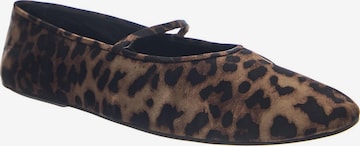 Jeffrey Campbell Balerinka z rzemykiem 'DANCERINA' w kolorze brązowy: przód
