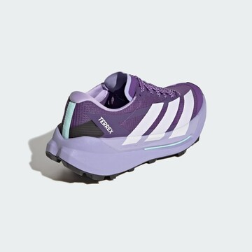 Chaussure basse 'Agravic TT' ADIDAS TERREX en violet