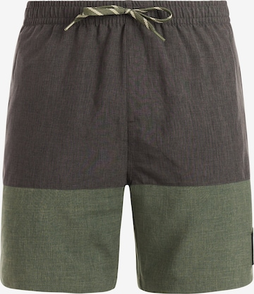 Shorts de bain 'PRTCabus' PROTEST en vert : devant