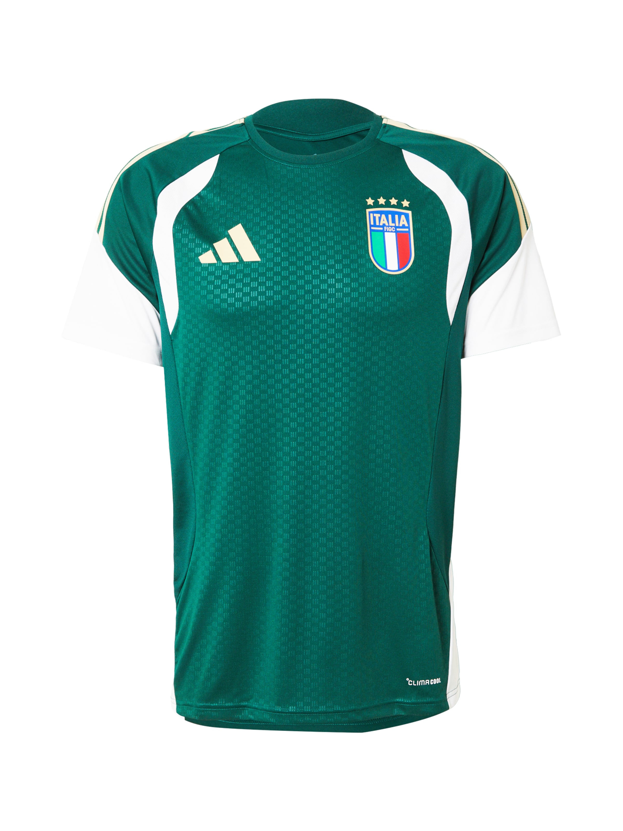 ADIDAS PERFORMANCE Trikot &#x27;FIGC TR JSY&#x27; in Grün: Vorderseite