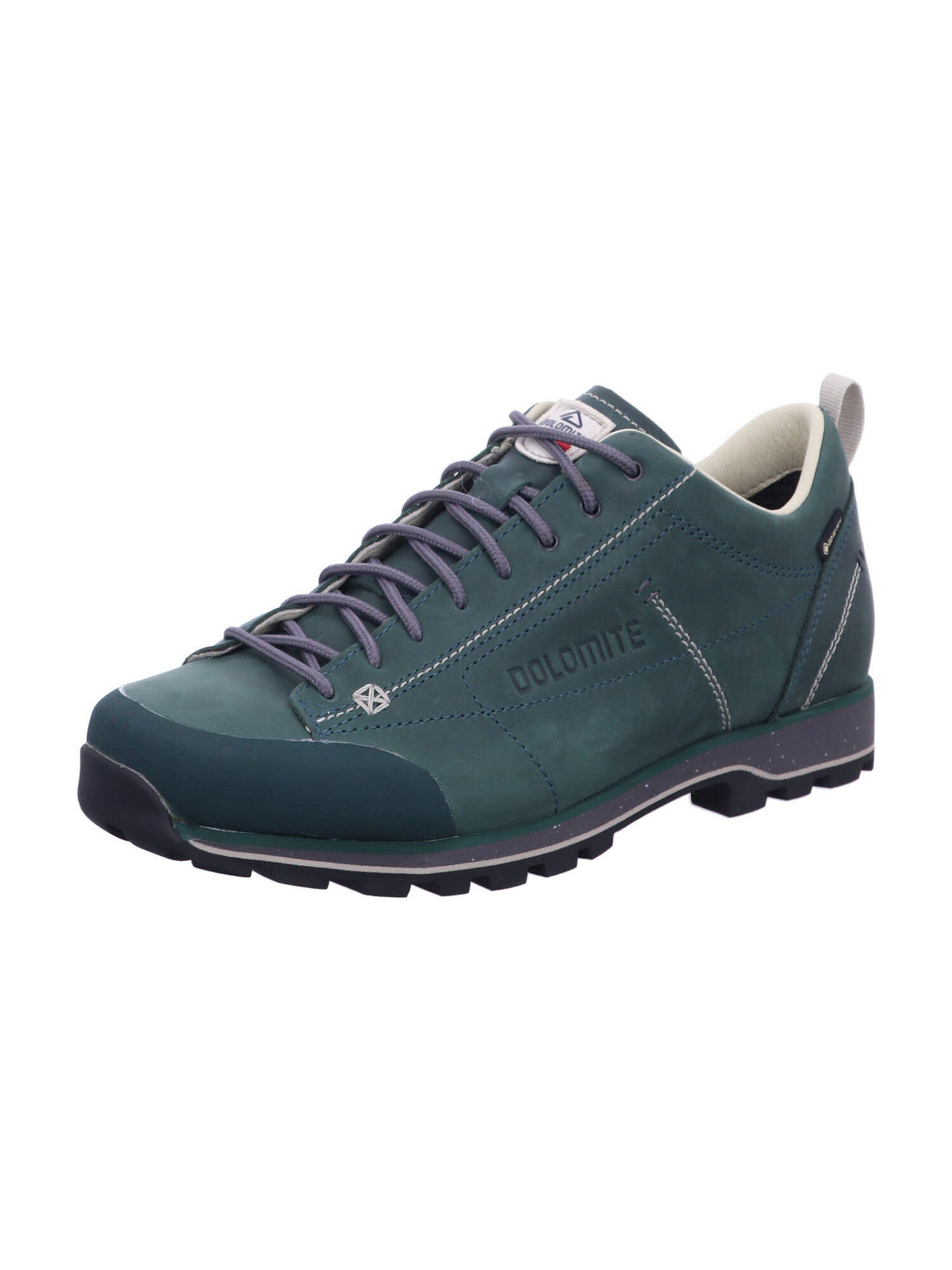 Dolomite Lace-Up Shoes 'GTX EVO' in Green: front