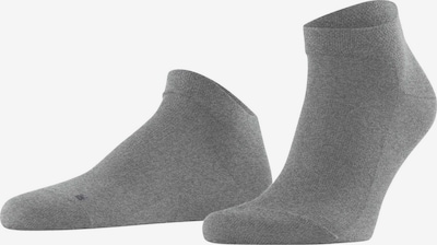 FALKE Socks in Grey, Item view
