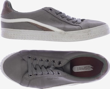 ESPRIT Sneakers & Trainers in 36 in Grey: front