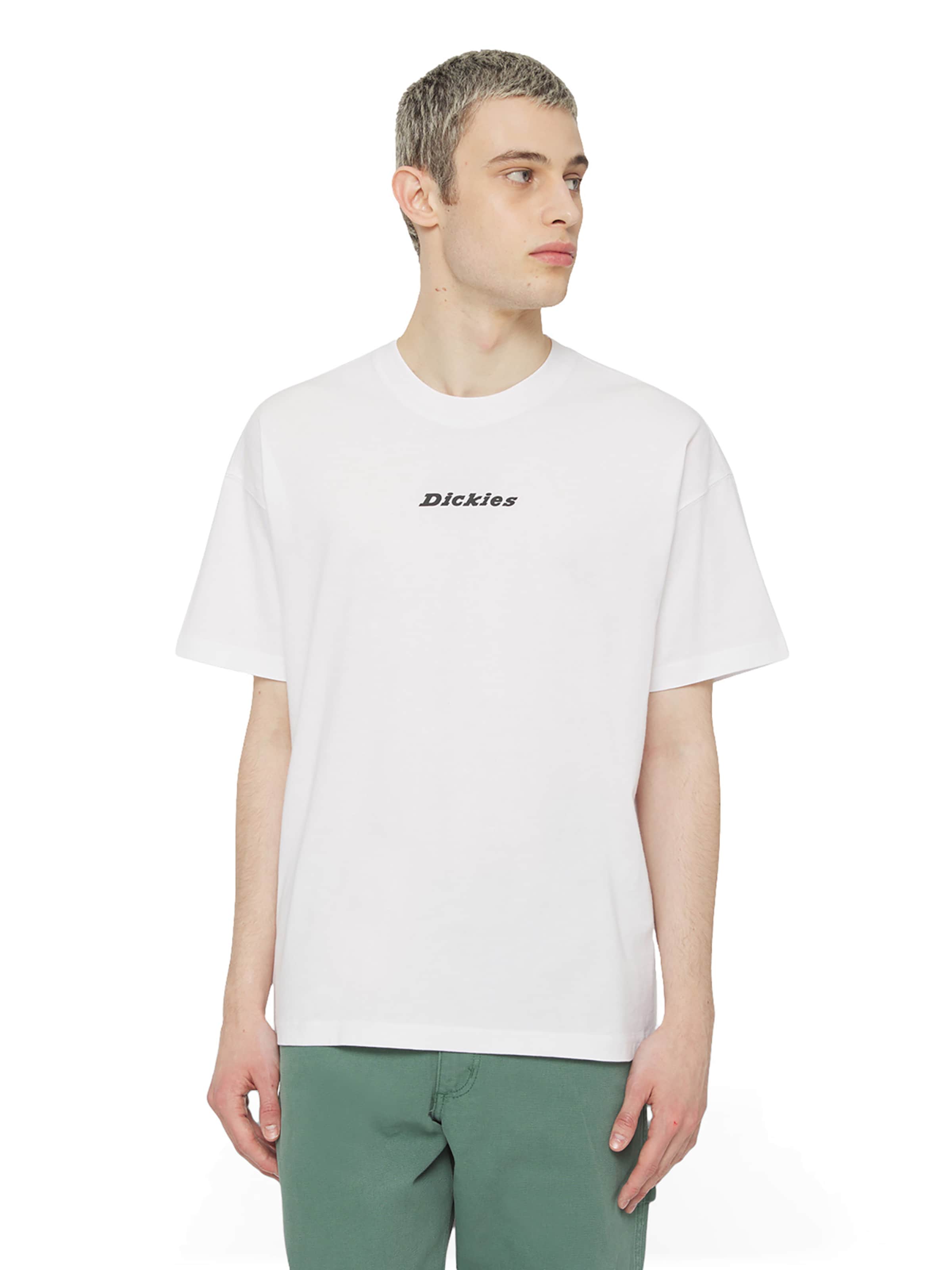 DICKIES Μπλουζάκι 'ENTERPRISE' σε λευκό: μπροστά