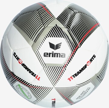 ERIMA Ball in Grey: front