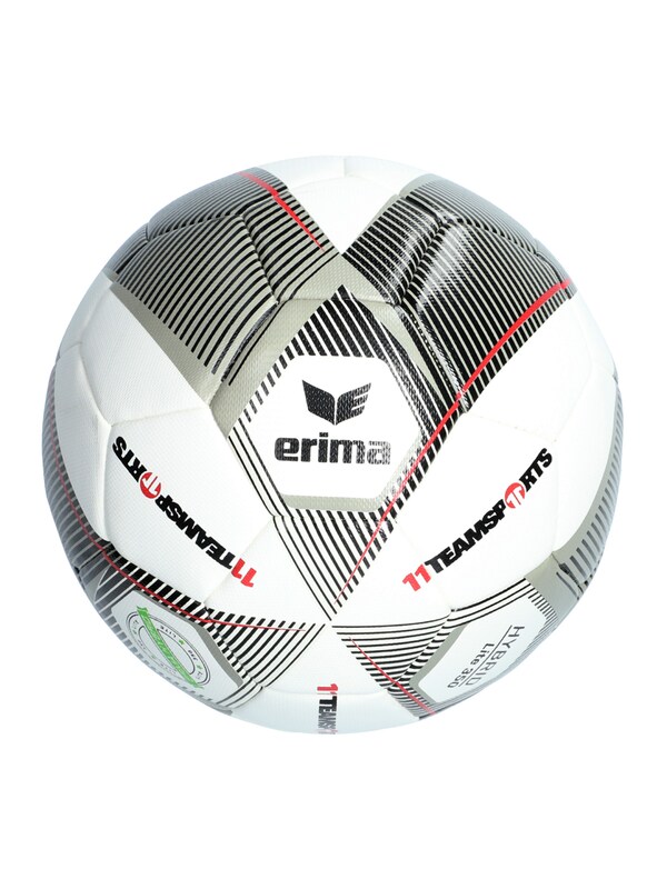 ERIMA Ball in Grey