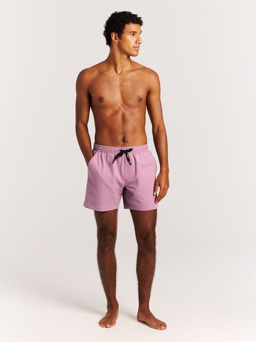 PROTEST Badeshorts 'Wytona' in Lila