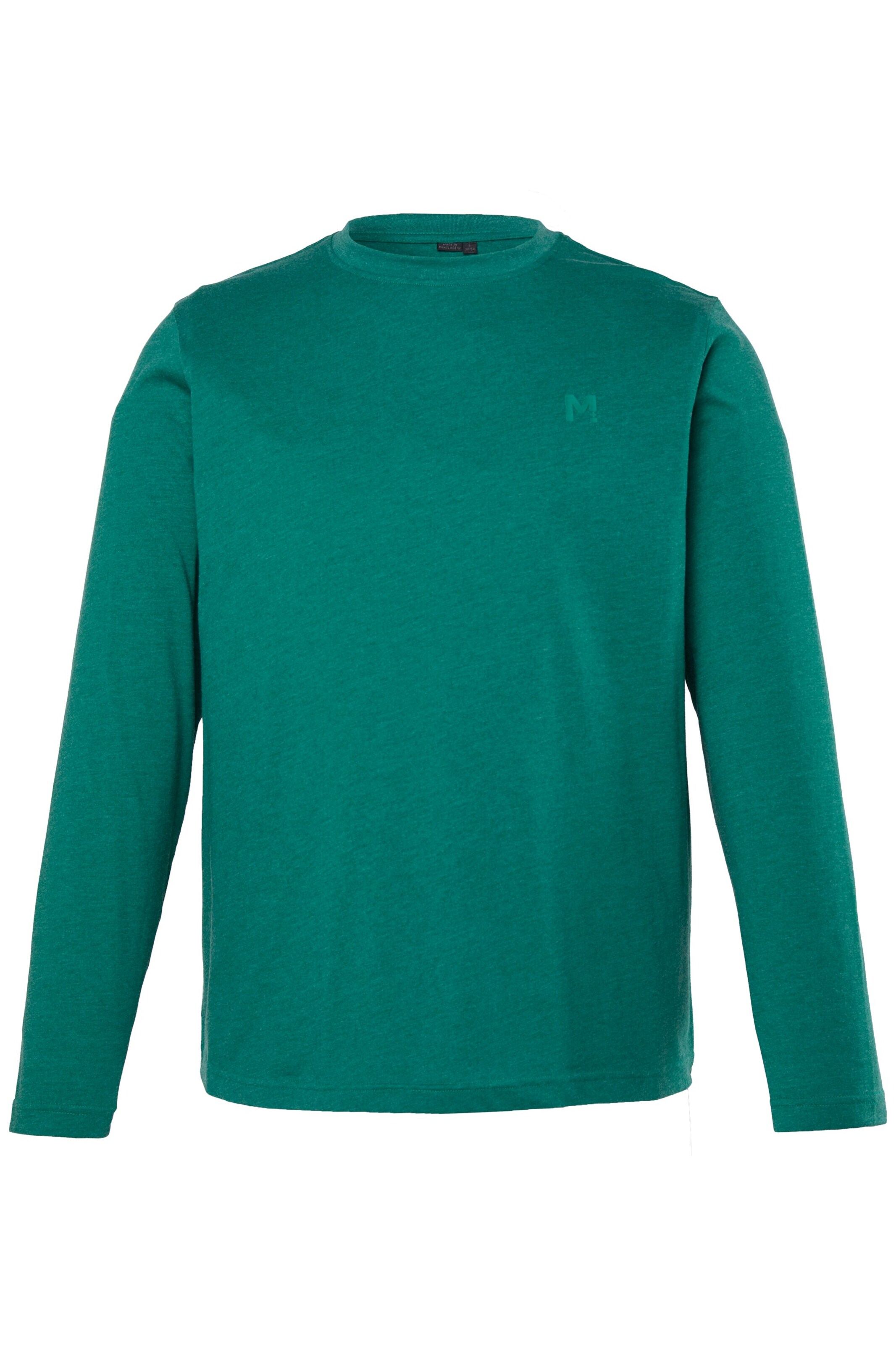 Men Plus Shirt in Green: front