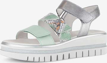 GABOR Sandale in Mischfarben: Vorderseite